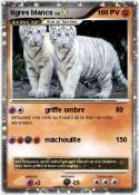 tigres blancs