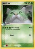 plant leo