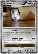 cat burrito