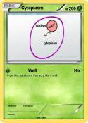 Cytoplasm