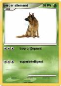 berger allemand