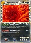 Chrysanthemum