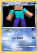 steve