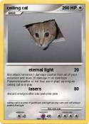 ceiling cat