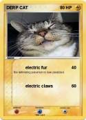 DERP CAT