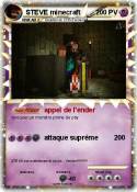 STEVE minecraft