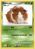 Guinea pig