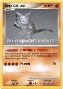 Ninja Cat