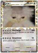 Cat !