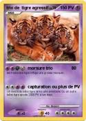 trio de tigre