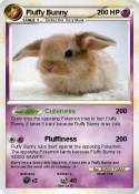 Fluffy Bunny
