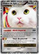 Chaton du Syle