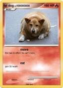 fat dog