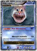 chat-requin