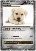 puppy