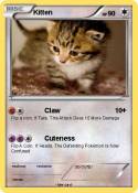 Kitten