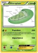 Chloroplast