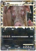 pig