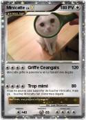 Minicatte