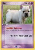 Dog