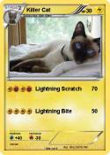 Killer Cat
