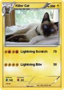 Killer Cat