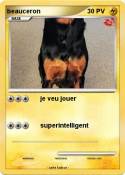 beauceron