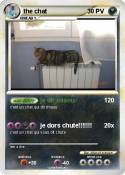 the chat