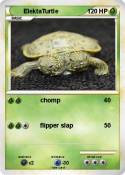 ElektaTurtle