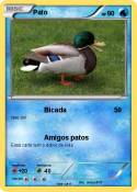 Pato