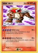 entei niv X 33