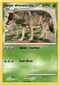 berger allemand
