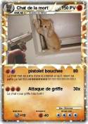 Chat de la mort