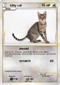 kitty cat
