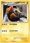 coq tricolores
