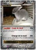 Lapin