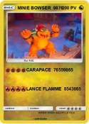 MINIE BOWSER