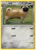 pug