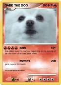 GABE THE DOG
