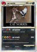 cat norris