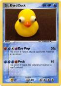 Big Eyed Duck