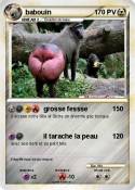 babouin
