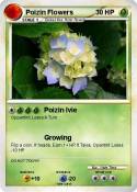 Poizin Flowers