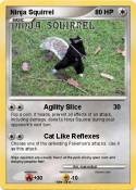 Ninja Squirrel
