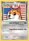 Doge 4
