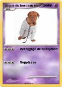 dogue du