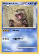 loutre est drôl