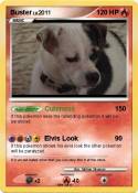 Buster