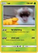 cat