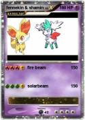 fennekin & sham